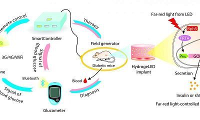 科学家如何用手机帮助我们诊治疾病？