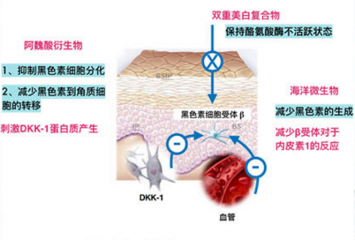 SVR美白淡斑系列　让你不再谈“斑”色变