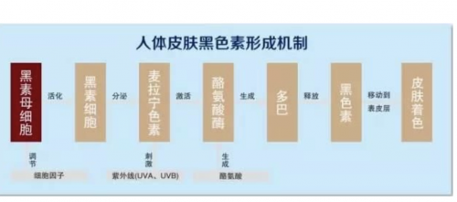 泰国vc水怎么代理，泰国vc水好用吗，主要成分是什么