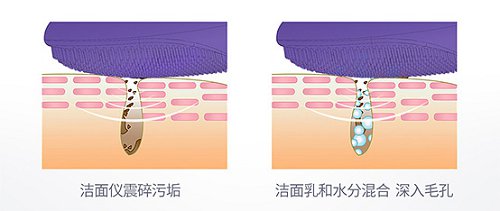 全方位解决护肤烦恼，美国西屋Venus多功效美容仪上市