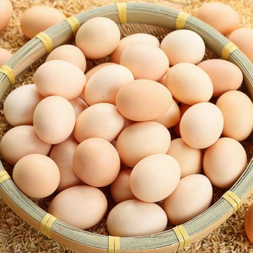鸡蛋减肥法，帮助远离脂肪肝