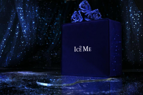 来自冰雪女王的生日礼物：ICE ME
