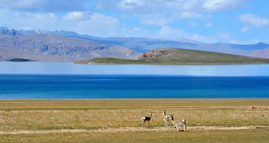 西藏最神秘的十大湖泊，每个传说都让你惊心动魄……